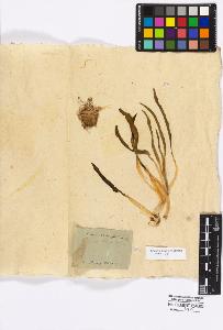 SW_BNB_s3010-16693_IMG-0000000001