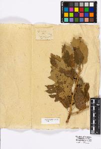 SW_BNB_s3010-16695_IMG-0000000001