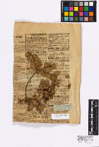 SW_BNB_s3010-16696_IMG-0000000001