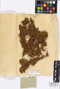 SW_BNB_s3010-16698_IMG-0000000001