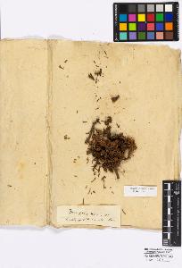 SW_BNB_s3010-16699_IMG-0000000001