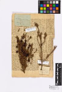 SW_BNB_s3010-16701_IMG-0000000001