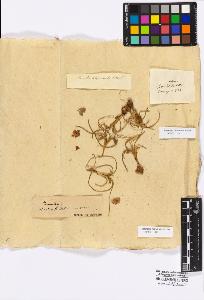 SW_BNB_s3010-16702_IMG-0000000001