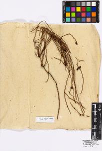 SW_BNB_s3010-16703_IMG-0000000001