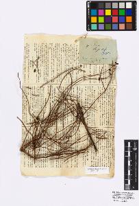 SW_BNB_s3010-16704_IMG-0000000001