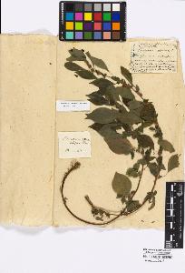 SW_BNB_s3010-16705_IMG-0000000001