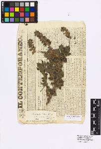 SW_BNB_s3010-16706_IMG-0000000001