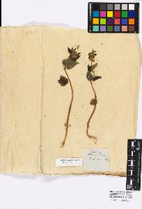 SW_BNB_s3010-16707_IMG-0000000001