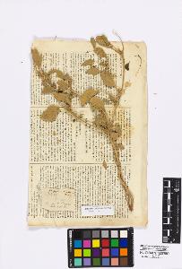 SW_BNB_s3010-16708_IMG-0000000001