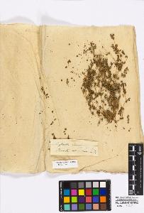 SW_BNB_s3010-16709_IMG-0000000001