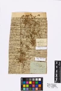 SW_BNB_s3010-16710_IMG-0000000001