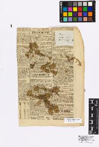 SW_BNB_s3010-16712_IMG-0000000001