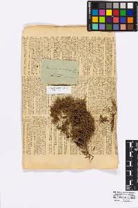 SW_BNB_s3010-16713_IMG-0000000001