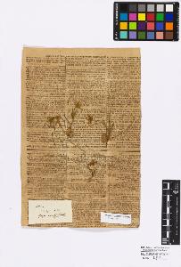 SW_BNB_s3010-16714_IMG-0000000001