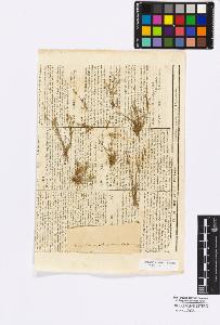 SW_BNB_s3010-16715_IMG-0000000001