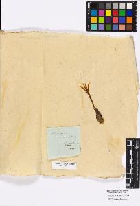 SW_BNB_s3010-16716_IMG-0000000001