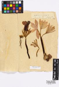 SW_BNB_s3010-16717_IMG-0000000001