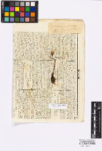 SW_BNB_s3010-16718_IMG-0000000001