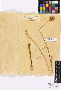 SW_BNB_s3010-16719_IMG-0000000001