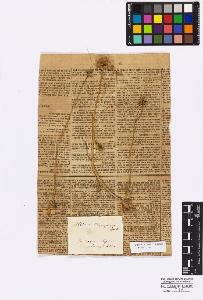 SW_BNB_s3010-16720_IMG-0000000001