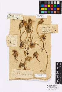 SW_BNB_s3010-16722_IMG-0000000001