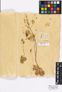 SW_BNB_s3010-16723_IMG-0000000001