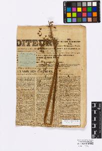 SW_BNB_s3010-16724_IMG-0000000001