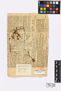 SW_BNB_s3010-16725_IMG-0000000001