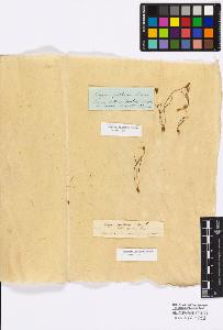 SW_BNB_s3010-16726_IMG-0000000001