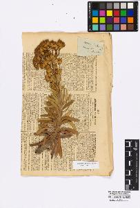 SW_BNB_s3010-16727_IMG-0000000001