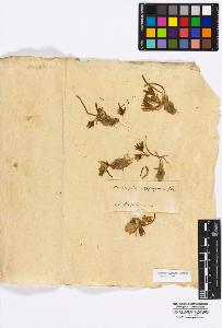 SW_BNB_s3010-16728_IMG-0000000001