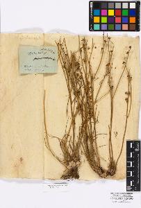 SW_BNB_s3010-16729_IMG-0000000001