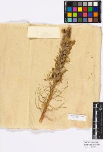 SW_BNB_s3010-16730_IMG-0000000001