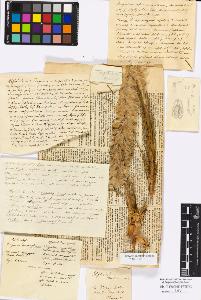 SW_BNB_s3010-16731_IMG-0000000001