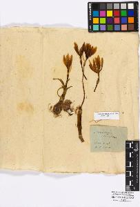 SW_BNB_s3010-16732_IMG-0000000001