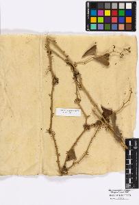 SW_BNB_s3010-16733_IMG-0000000001