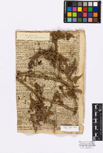 SW_BNB_s3010-16734_IMG-0000000001