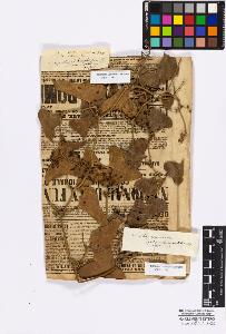 SW_BNB_s3010-16736_IMG-0000000001