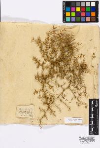 SW_BNB_s3010-16737_IMG-0000000001