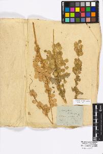 SW_BNB_s3010-16739_IMG-0000000001