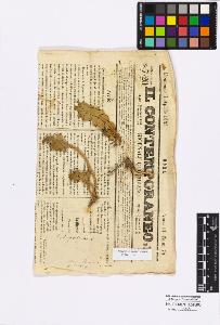 SW_BNB_s3010-16740_IMG-0000000001