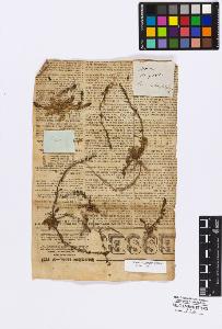 SW_BNB_s3010-16742_IMG-0000000001