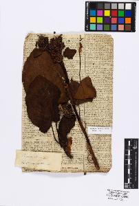 SW_BNB_s3010-16743_IMG-0000000001