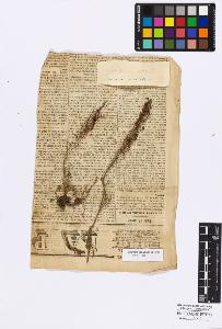 SW_BNB_s3010-16744_IMG-0000000001