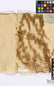 SW_BNB_s3010-16745_IMG-0000000001