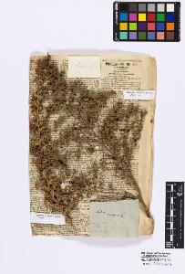 SW_BNB_s3010-16747_IMG-0000000001