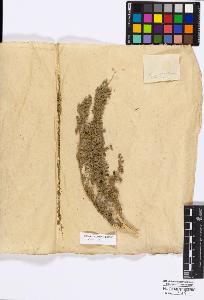 SW_BNB_s3010-16748_IMG-0000000001