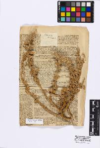 SW_BNB_s3010-16749_IMG-0000000001