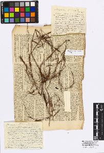 SW_BNB_s3010-16750_IMG-0000000001