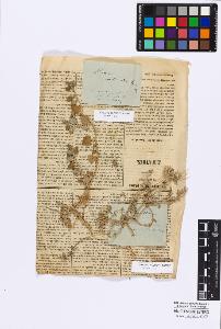 SW_BNB_s3010-16751_IMG-0000000001